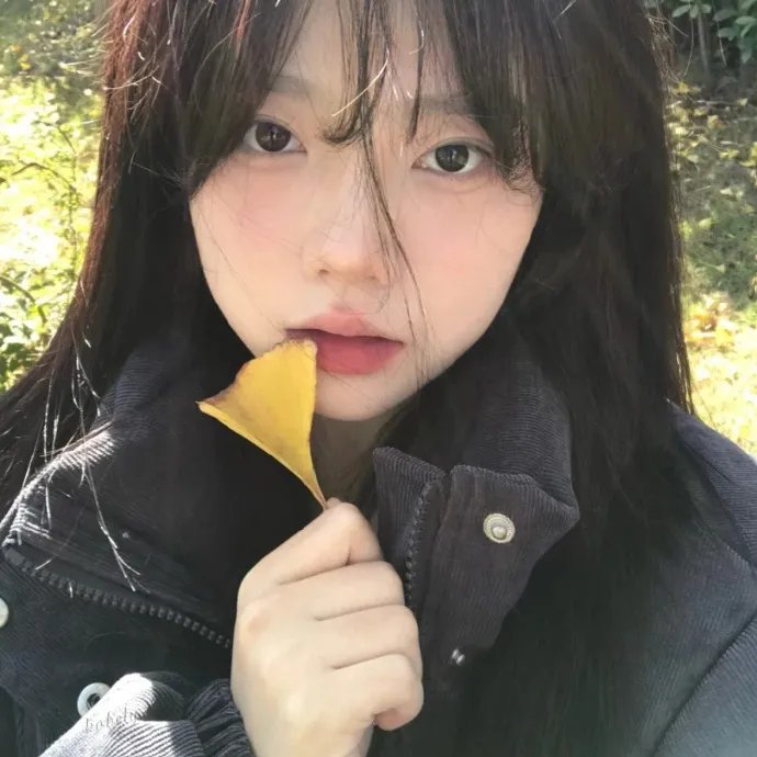法王艳史