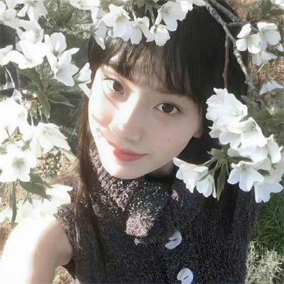 杏苑风流